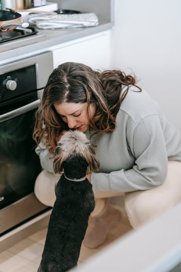 Female owner in casual wear playing with adorable hairy Yorkshire terrier in light kitchen with stove and oven at home